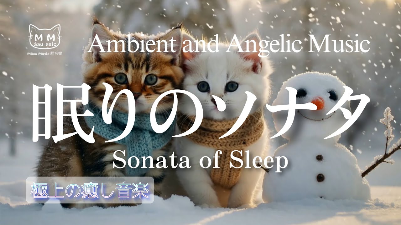 【睡眠用BGM】眠りのソナタ/猫動画、癒し、リラクゼーション
