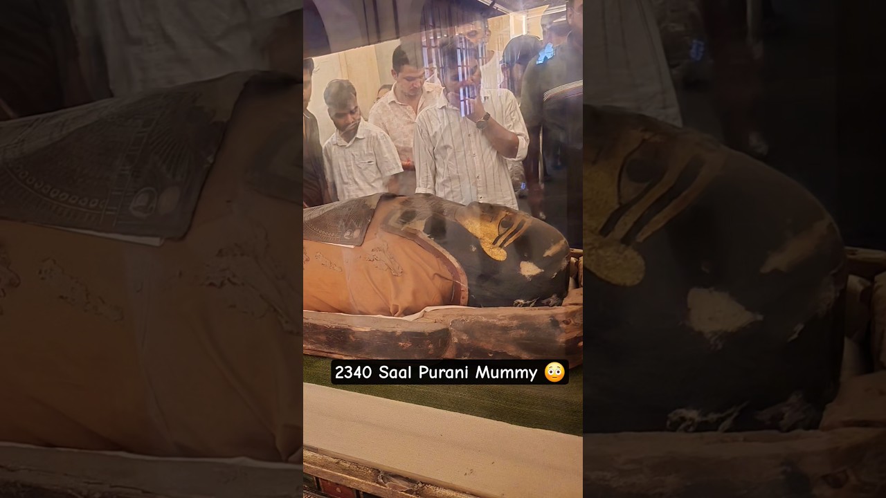 2340 saal purani Mummy 😳 | Albert Hall Museum | Jaipur , Rajasthan 