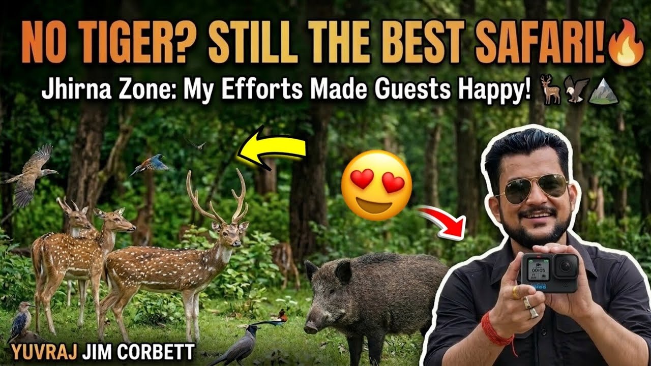 Jungle Safari Mein Kya Kya Dekha? Jhirna Zone Full Vlog 🌳 #yuvrajjimcorbett 