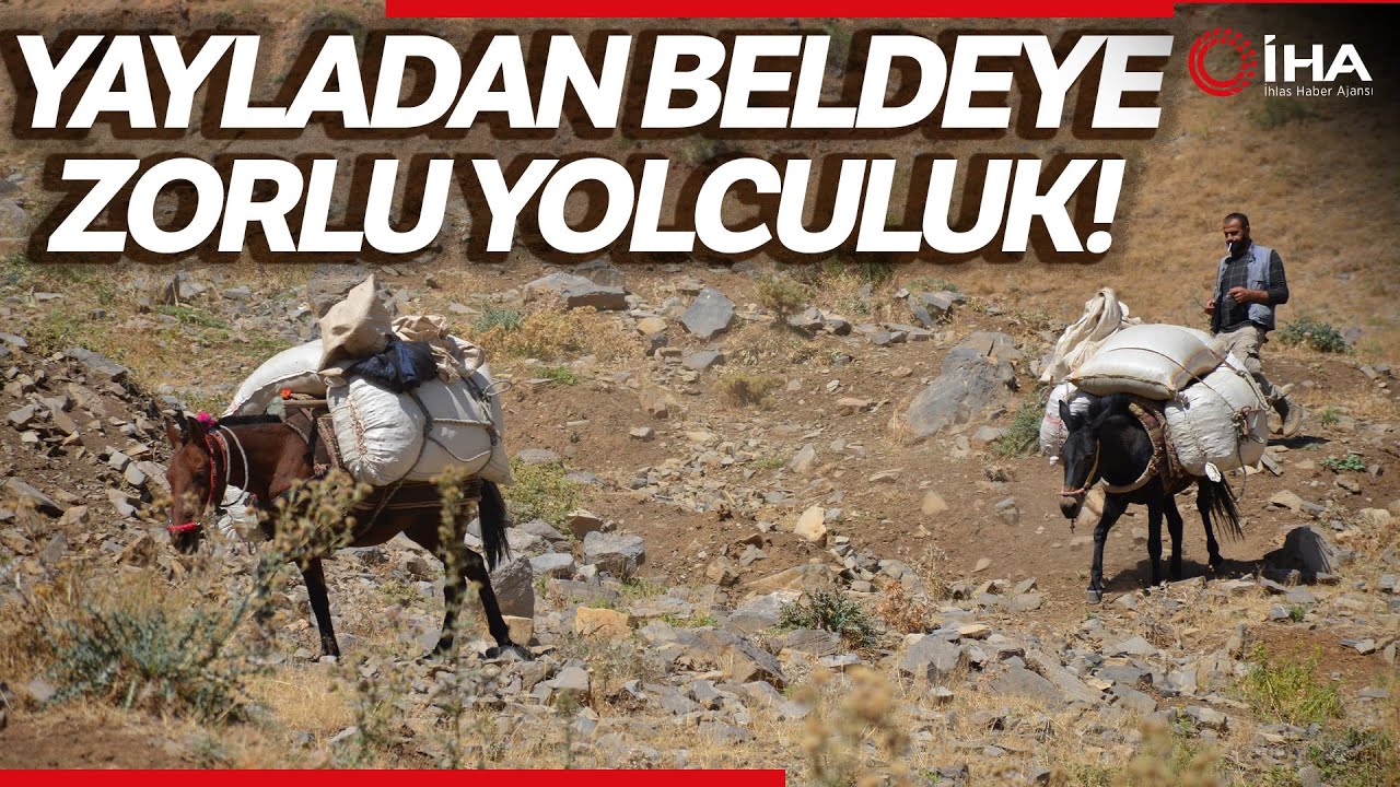 Şırnak'ta Yaylalarda Toplanan 'Heliz Otu' At Sırtında Beldeye İndiriliyor