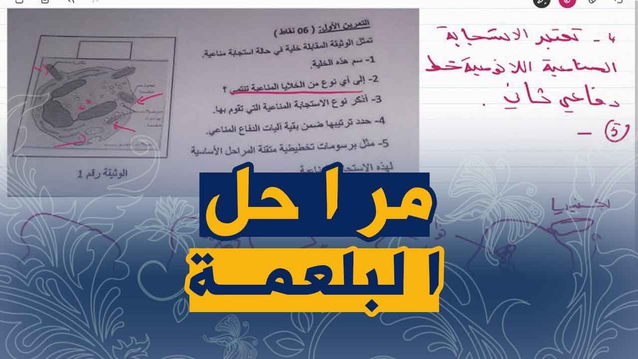 مراحل البلعمة علوم طبيعية للسنة الرابعة متوسط