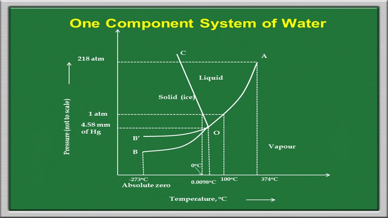 Phase Rule - One Component System