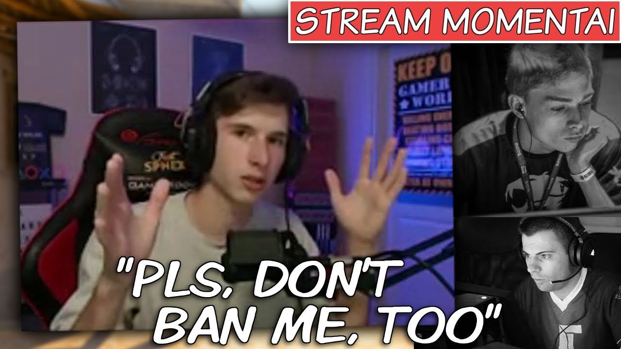 SPHEX APIE: 