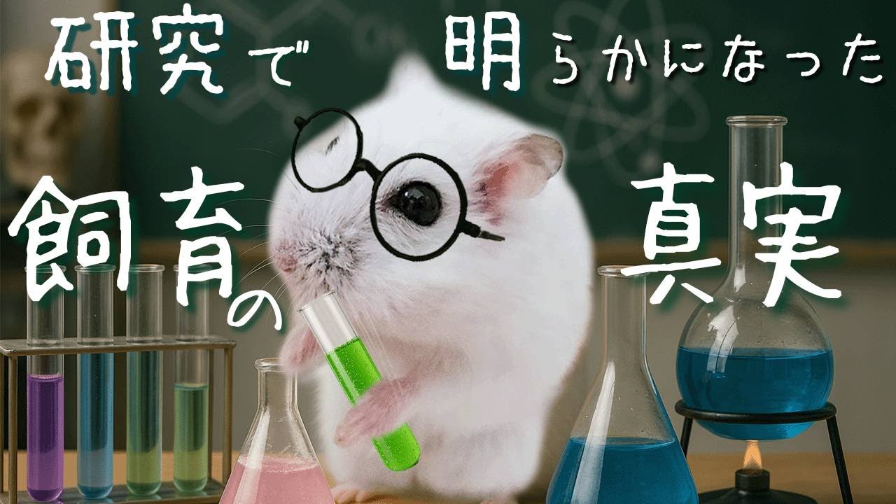 【コレを知らずに飼育しないで】ハムスターの適切な飼育環境の研究
