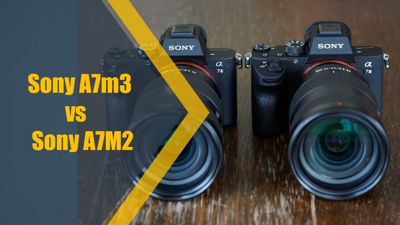 Почему я перешел на Sony A7 iii | Краткое сравнение камер Sony A7m3 и Sony A7M2.