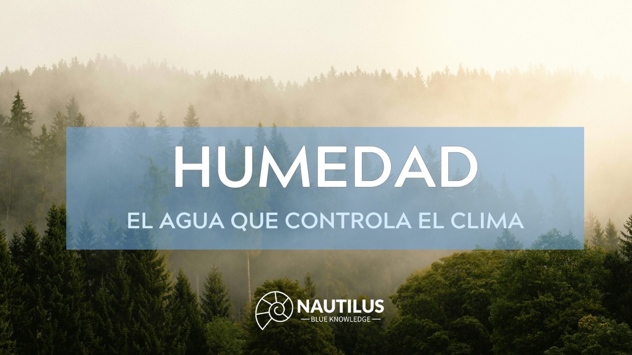 La Humedad: humedad absoluta, humedad relativa, presión parcial del vapor de agua y punto de rocío