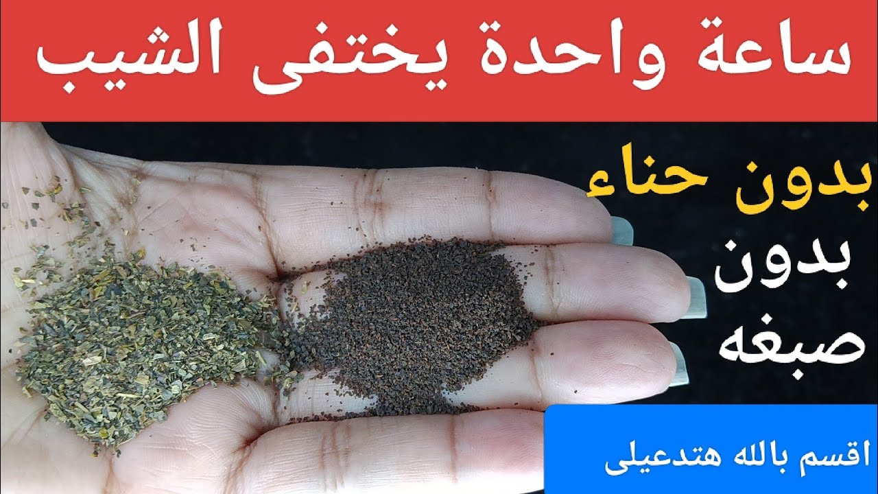 اقسم بالله‼️ في أقل من ساعة يختفي الشيب نهائيًا بدون حناء ولا صبغة وهتدعيلي من قلبك على النتيجة