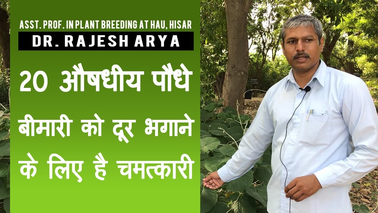 कौनसे औषधीय पौधे है चम्तकारी पौधे , देखो पूरी वीडियो I Best medicanal plants in india
