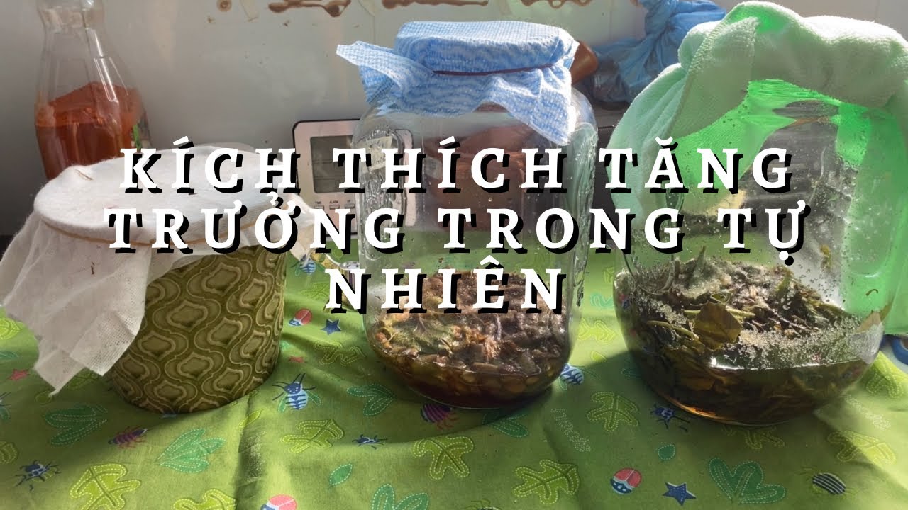 Áp dụng Men Vi Sinh Probiotic Cho Đất Cây Trồng và Sức Khoẻ Người