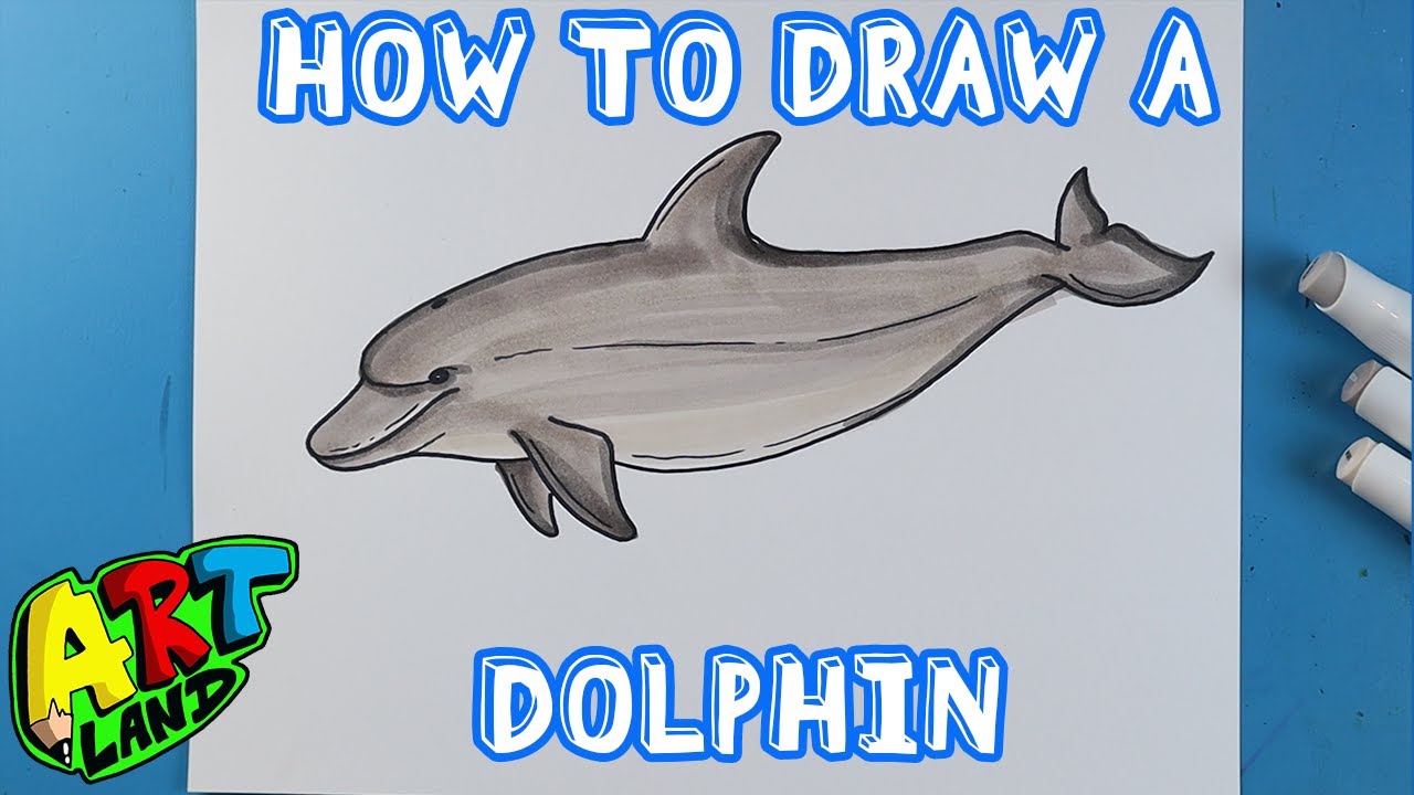 How to Draw a BOTTLENOSE DOLPHIN!!!