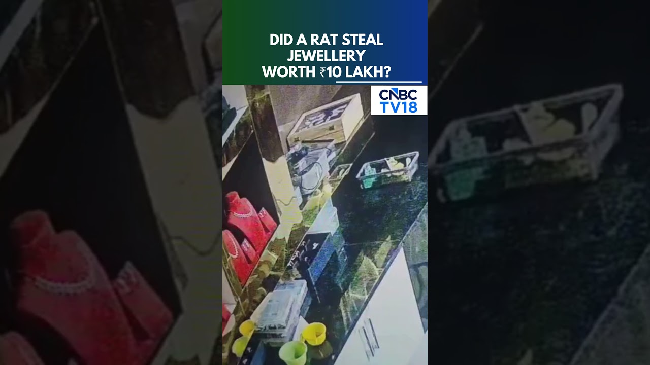 Rat 'Steals' ₹10 Lakh Diamond Jewellery From Karnataka Store | CCTV Captures Bizarre Incident | N18S