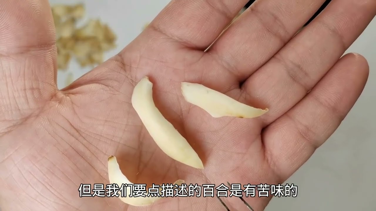 揭秘系列——百合：卷丹百合、龙牙百合、兰州百合，你吃的是哪种？你吃的百合加了多少焦亚硫酸钠和硫磺？#百合 #中药 #中药鉴别 #龙牙百合