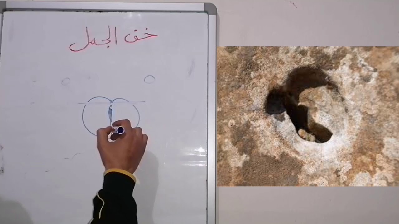أشارة خف الجمل