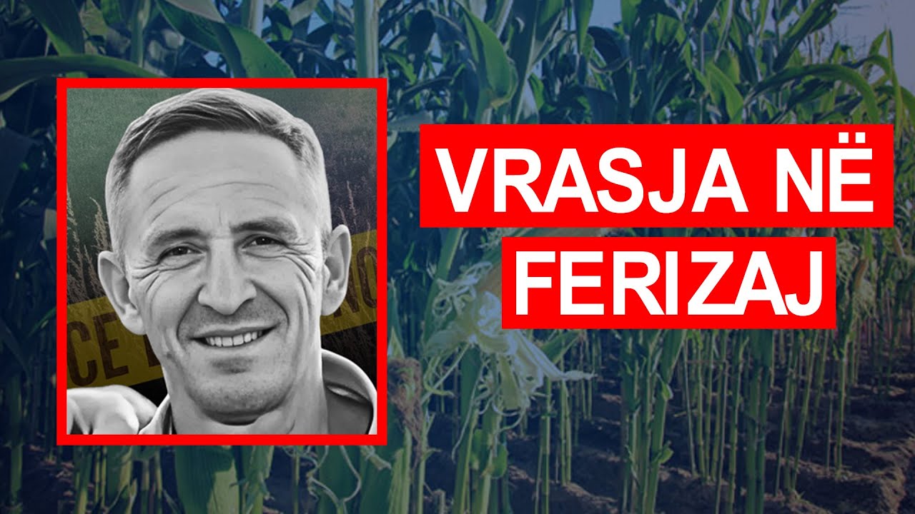 Vr*sja në Ferizaj: ‘E kishin ngre zhag…’ LIVE nga ara me misër ku u varros Enver Bajraktari!