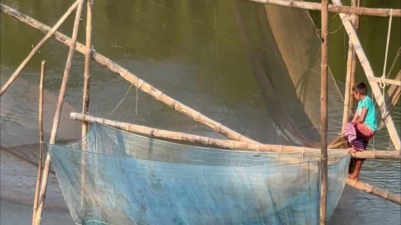 Amazing Lift Net Fishing in River ! Village fishing video
