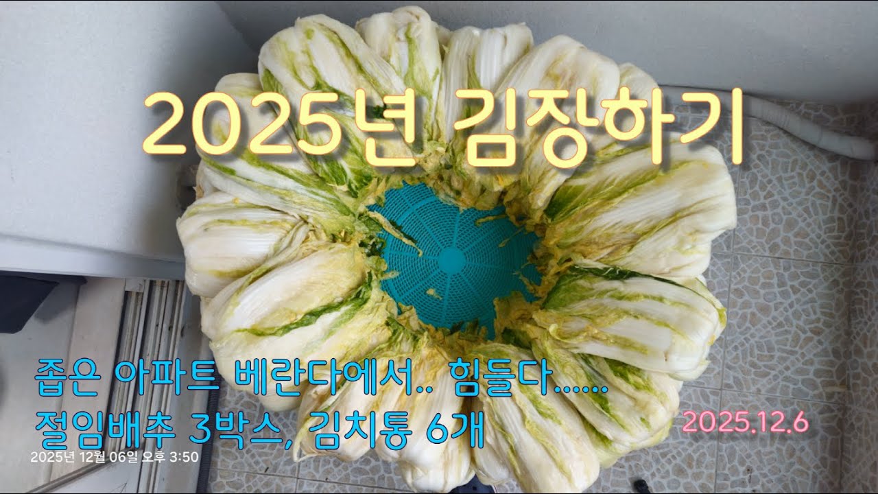 2025년 김장은 절임배추 3박스로 : 안 한다 했다가 또 했다