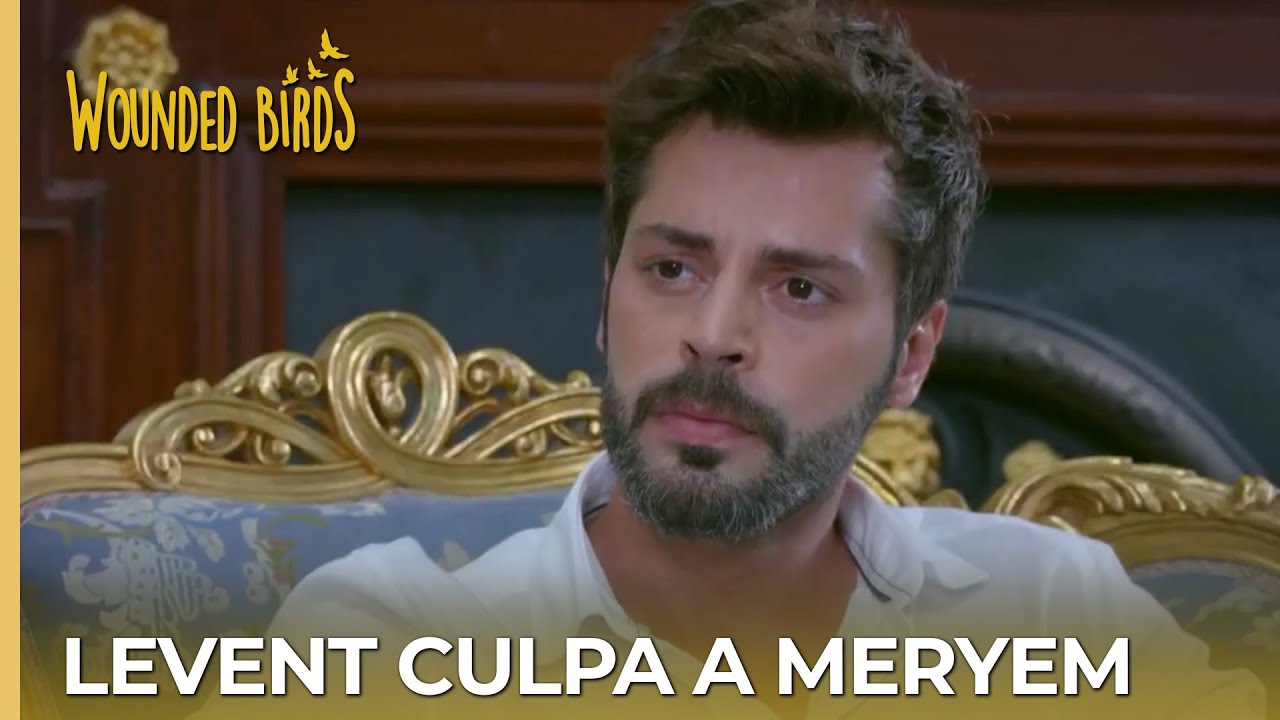 Levent culpa a Meryem  |  Omer Sueños Robados Capítulo 96