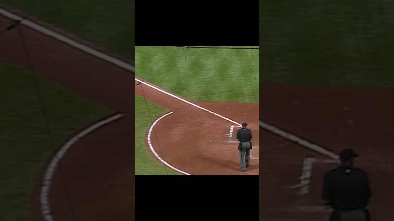 Adam Dunn was a Crashout King #mlb #baseball