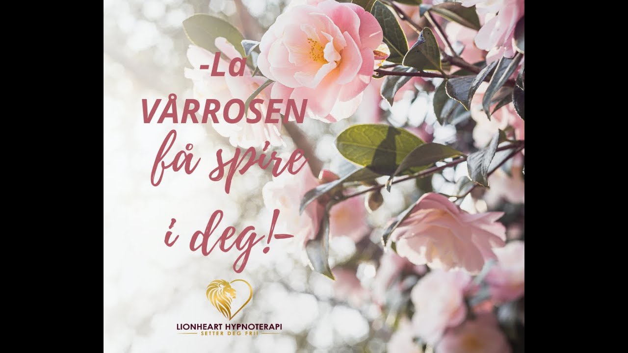 -La vår rosen få spire i deg!- Guidet meditasjon, Tibetanske syngeboller, trommer.m.m.