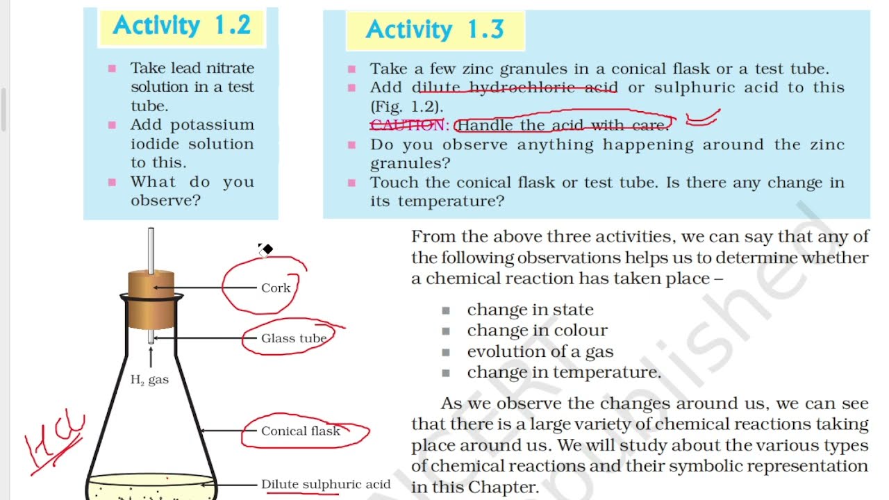 Class 10 Science  |NCERT Chapter 1|Chemical Reactions and Equations (part 1)