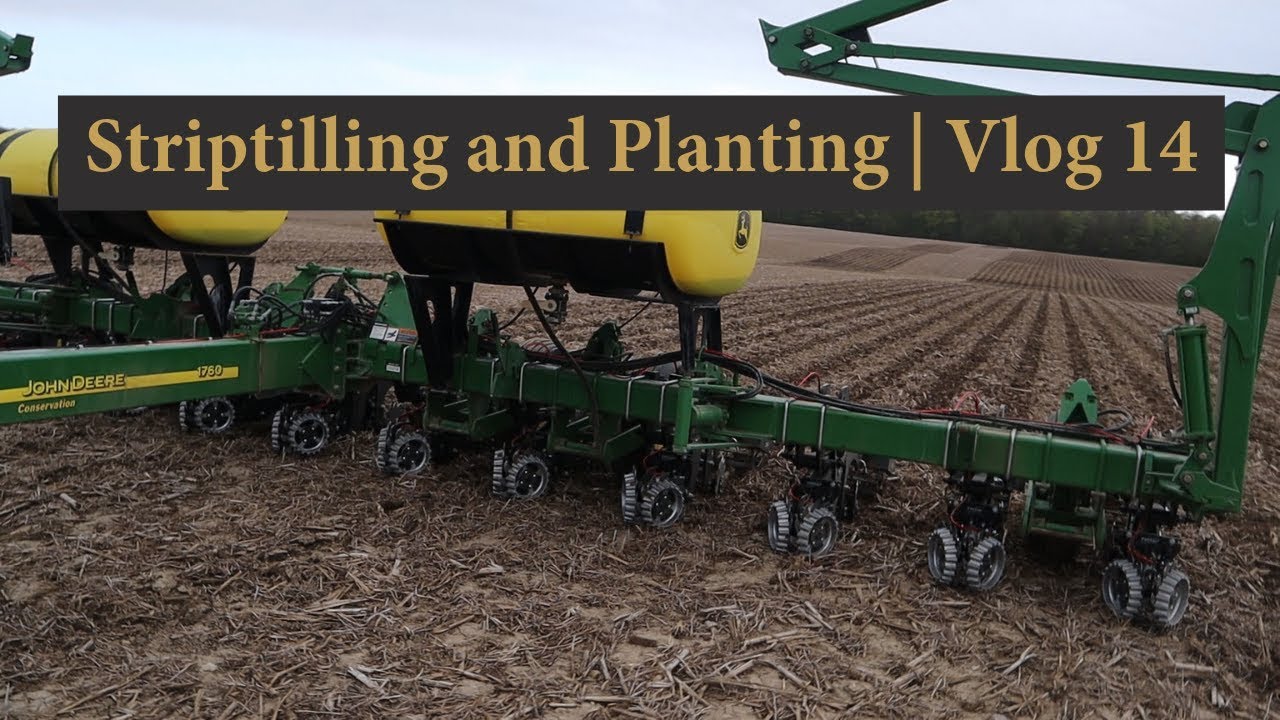 Striptilling and Planting | Vlog 14