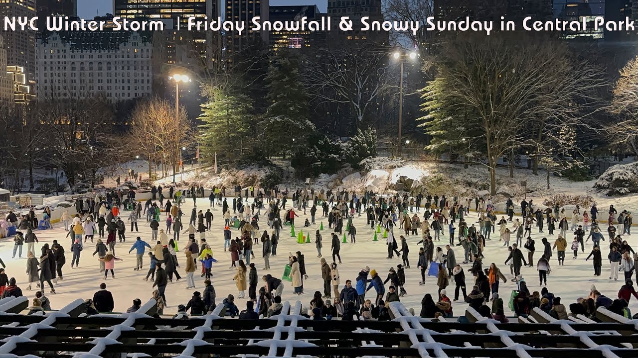 NYC Winter Storm  | Friday Snowfall & Snowy Sunday in Central Park