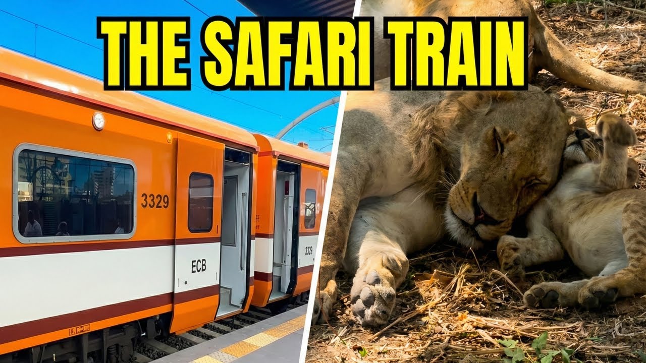 The Safari Train: Deep into Africa's Wild Heart 🇹🇿