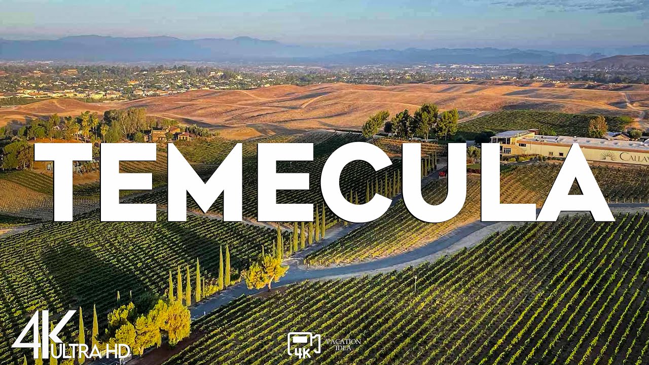 Top 10 Best Things to Do in Temecula, California [Temecula Travel Guide 2024]