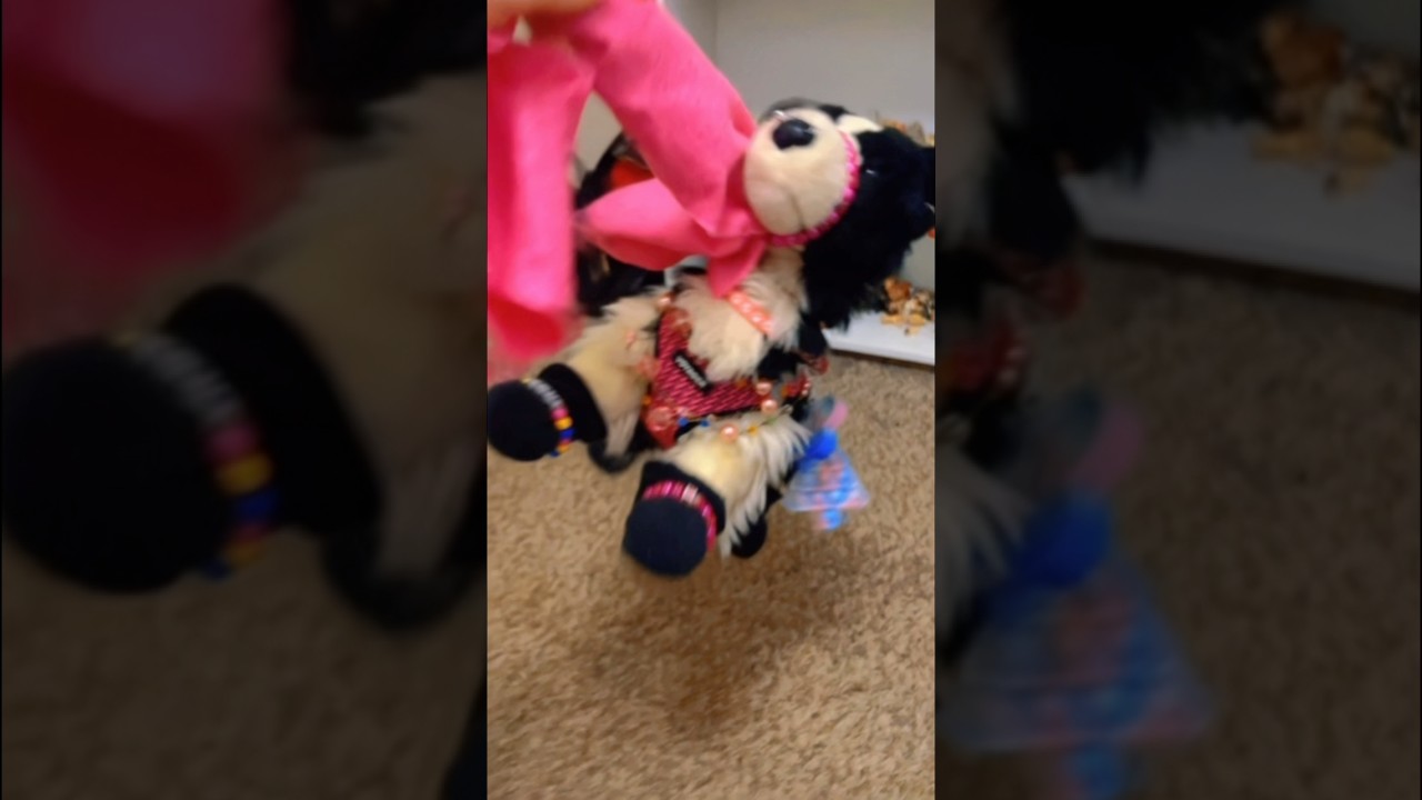 Возможно, удалю позже #essaowner #essacommunity #essatraining #trendingshorts