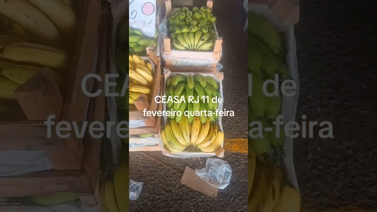 CEASA rj