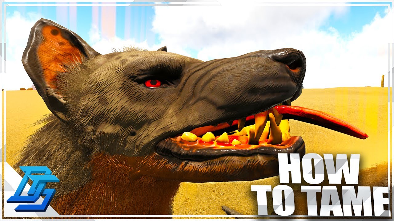 How to Tame Hyaenodon & Science of taming ! - Ark Survival Evolved - Part 14 (Primitive Plus)