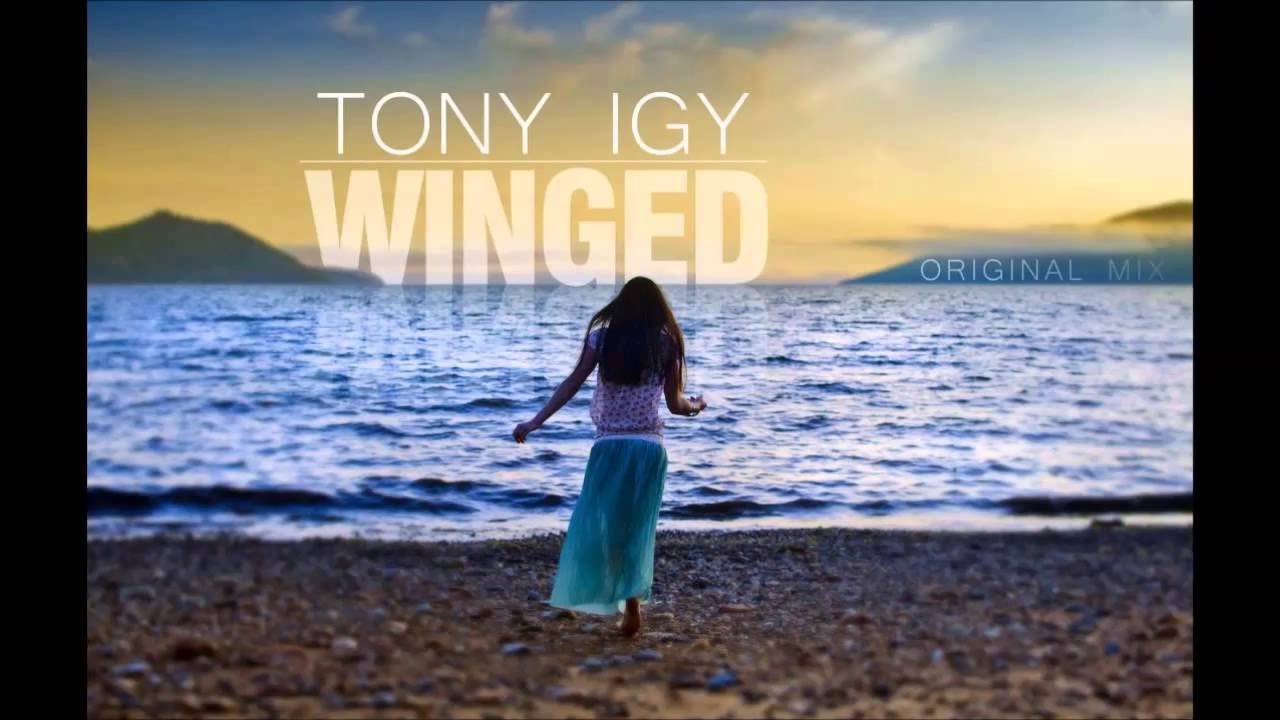 Tony Igy - Winged (Original Mix)