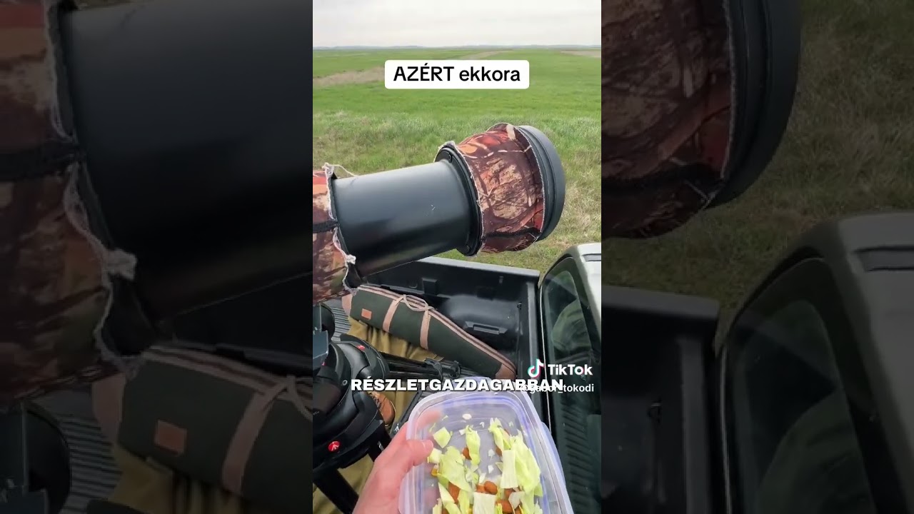 Azért használnak ekkora objektíveket a természetfotósok és filmesek...