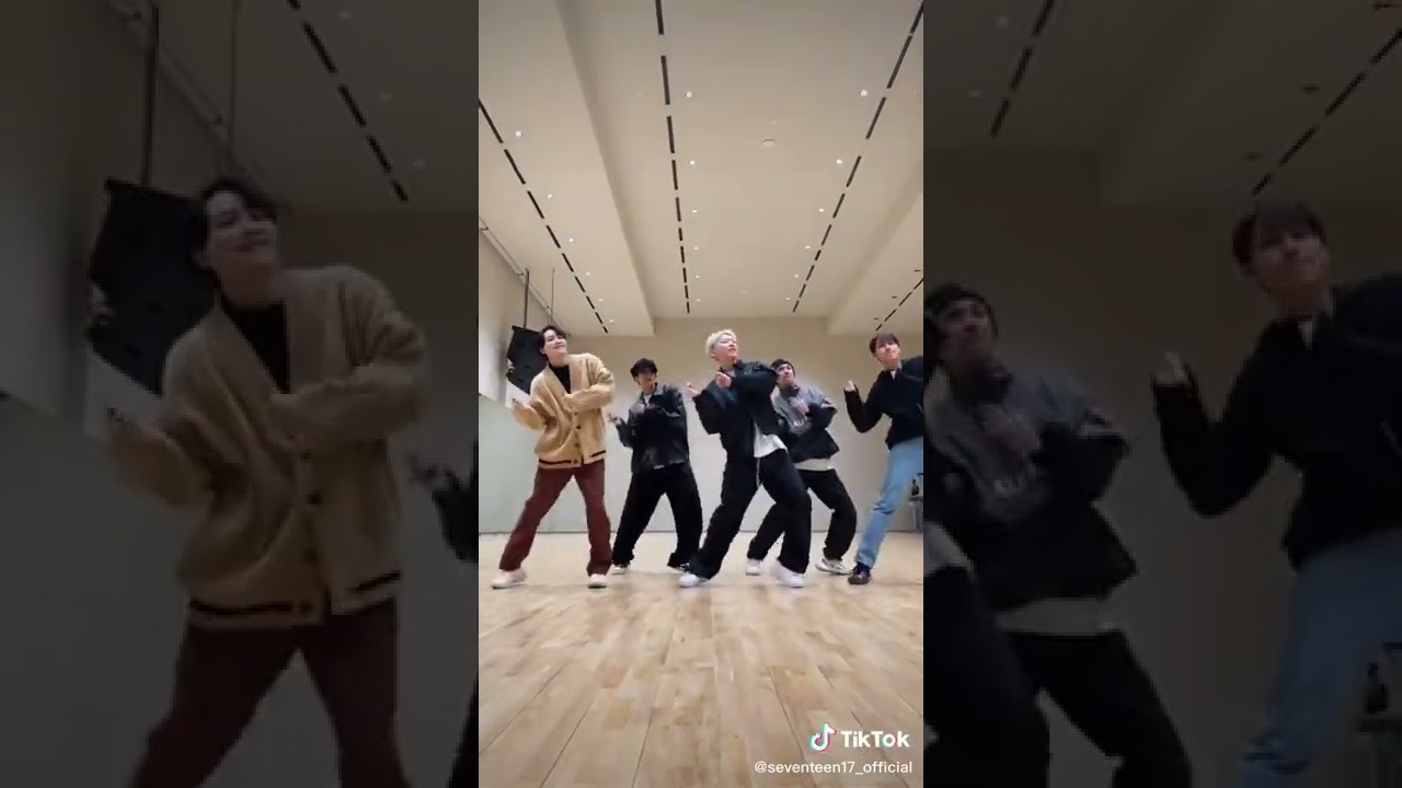 Young , Wild and Free 😊#seventeen #jeonghan #joshua #jun #hoshi #dk