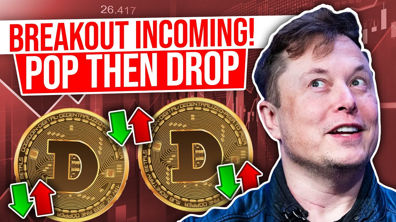 Dogecoin: This Could Be Huge! Beware of The Pump and Dump