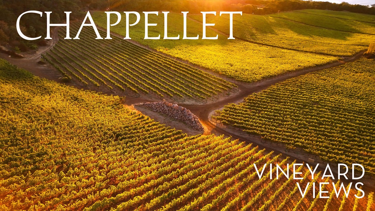Vineyard Views | Sunsets on Pritchard Hill Across the Seasons