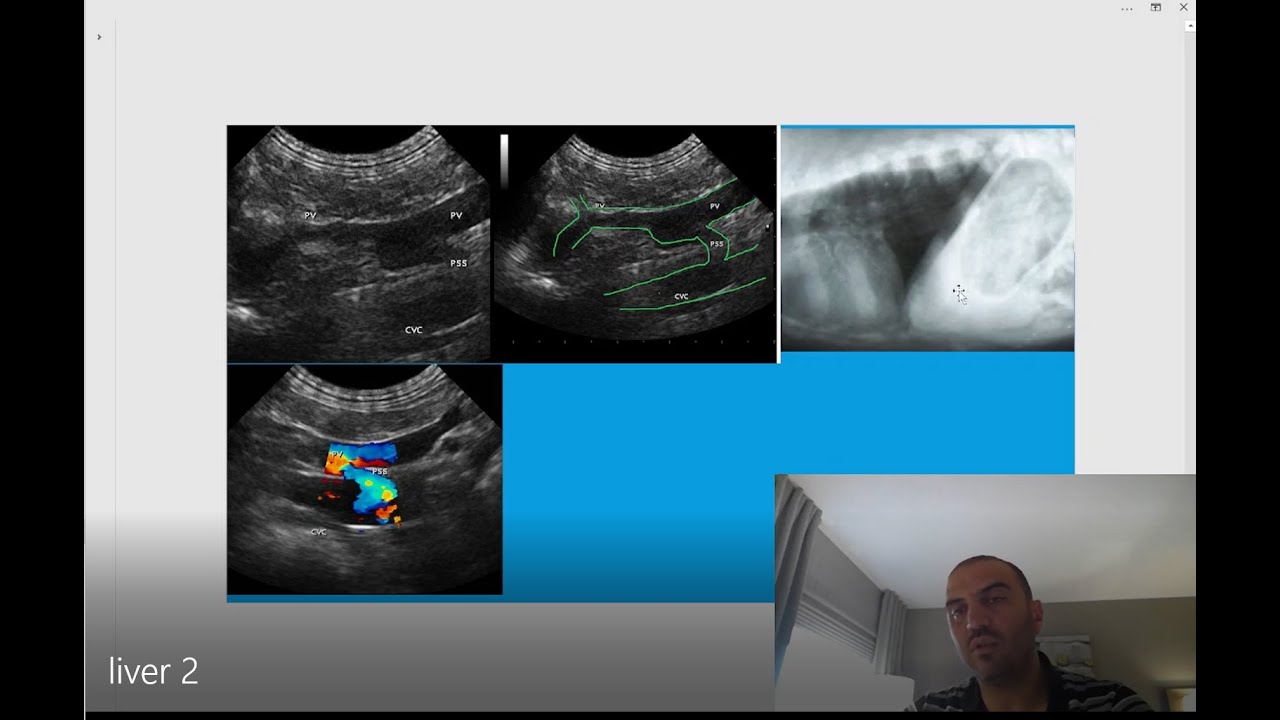 Laboratory diagnostics 3/15 . Liver test 2nd/2 video تحليل انزيمات الكبد. حيوانات اليفة