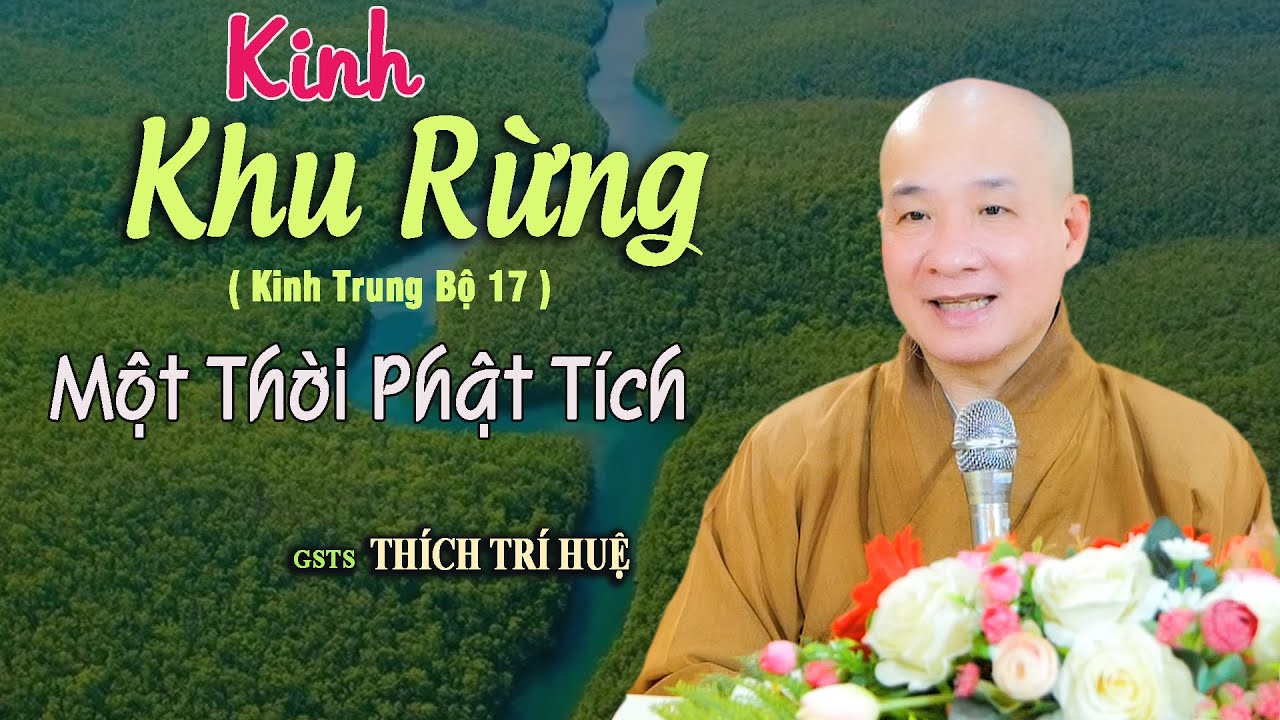 Trung Bộ 17 KInh KHU RỪNG Vọng Lại Một Thời Phật Xứ - ai cũng phải nghe. THầy Thích Trí Huệ