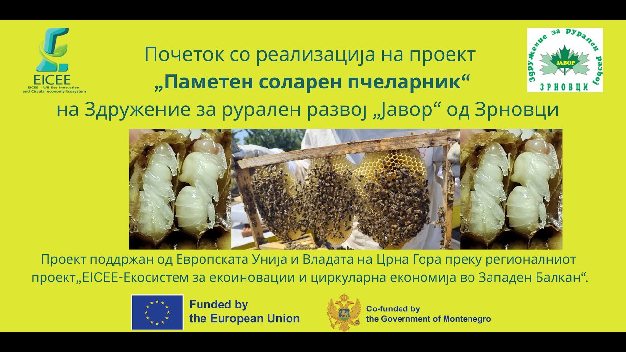 Почеток на проект за Трутово млеко  за подигање на профитабилноста на пчеларството во Зрновци