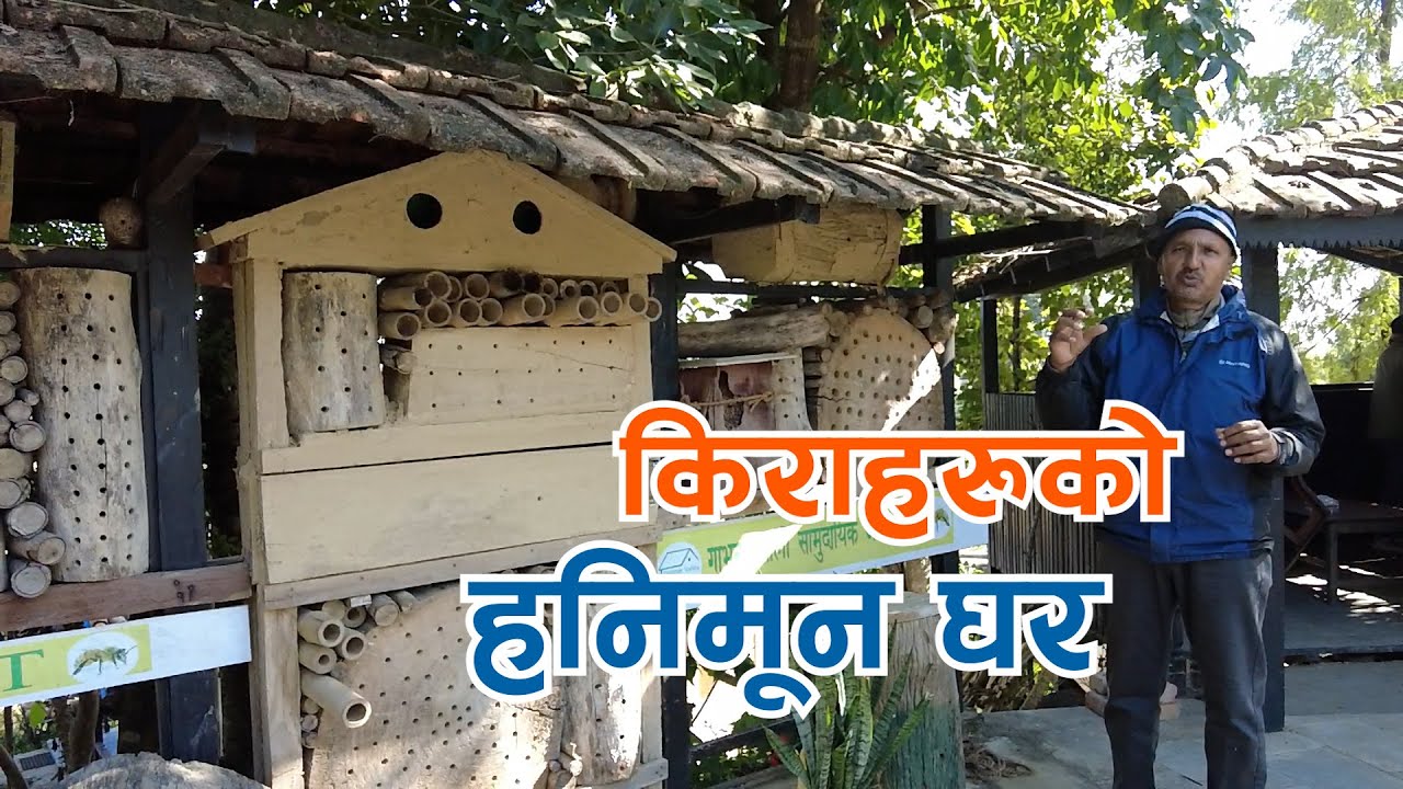 किराहरुको हनिमुन घर बनाउने किसानसंगको कुराकानी || Paurakhi TV || Purmal Basnet