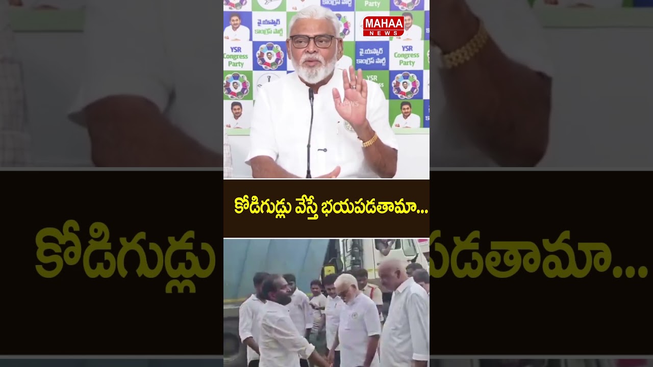 కోడిగుడ్లు వేస్తే భయపడతామా..Ambati Shocking Comments On CM Chandrababu | Mahaa News