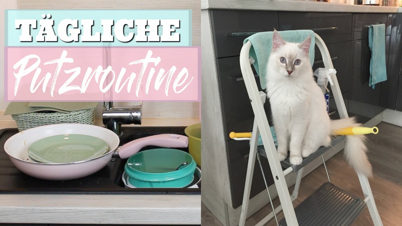 T&Auml;GLICHE PUTZROUTINE IN UNTER 10 MINUTEN ✔️5 ANGEWOHNHEITEN F&Uuml;R EINE SAUBERE WOHNUNG