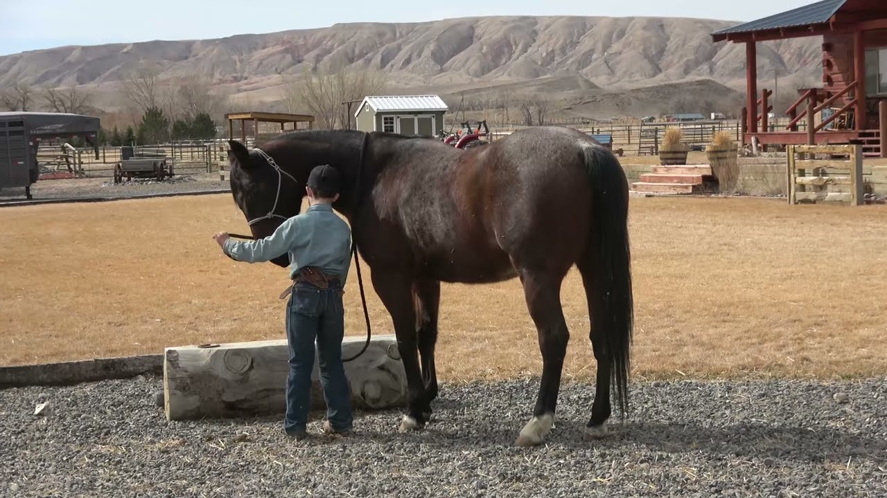 ALL REDDY EYE CANDY...and the Kids - Available for Sale