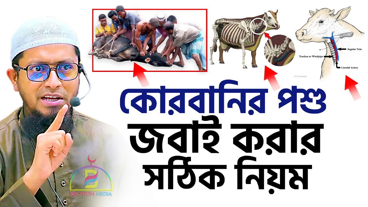 কুরবানীর পশু জবাই করার সঠিক নিয়ম - মুফতি মোহাম্মদ আলী Mufti Mohammad Ali