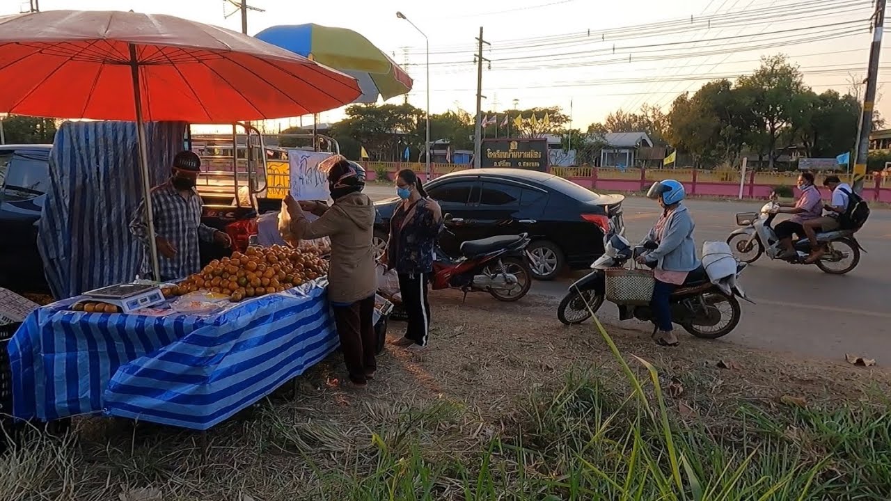 ตามไปดู พ่อค้ามือใหม่ พึ่งเริ่มขายทำไม่ถึงขายดีจัง ( เศรษฐี ไม่มีนาย EP.203 )