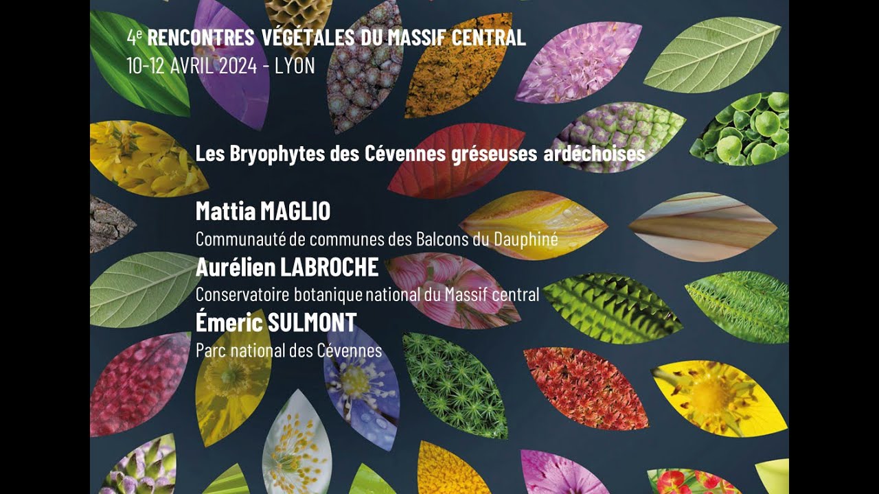 08 Bryophytes des Cévennes gréseuses ardéchoises - Rencontres végétales du Massif central 2024 -Lyon