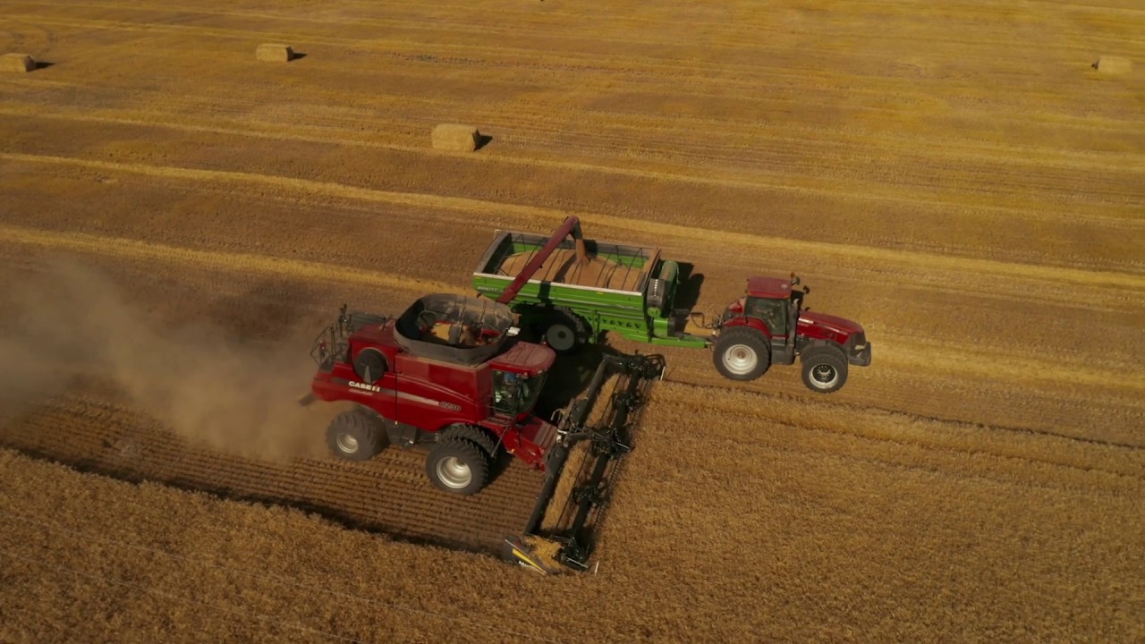 MJW Farms - Dryland Farm For Sale in West Nebraska with Headquarters, Wheat, Corn, Sunflowers & More