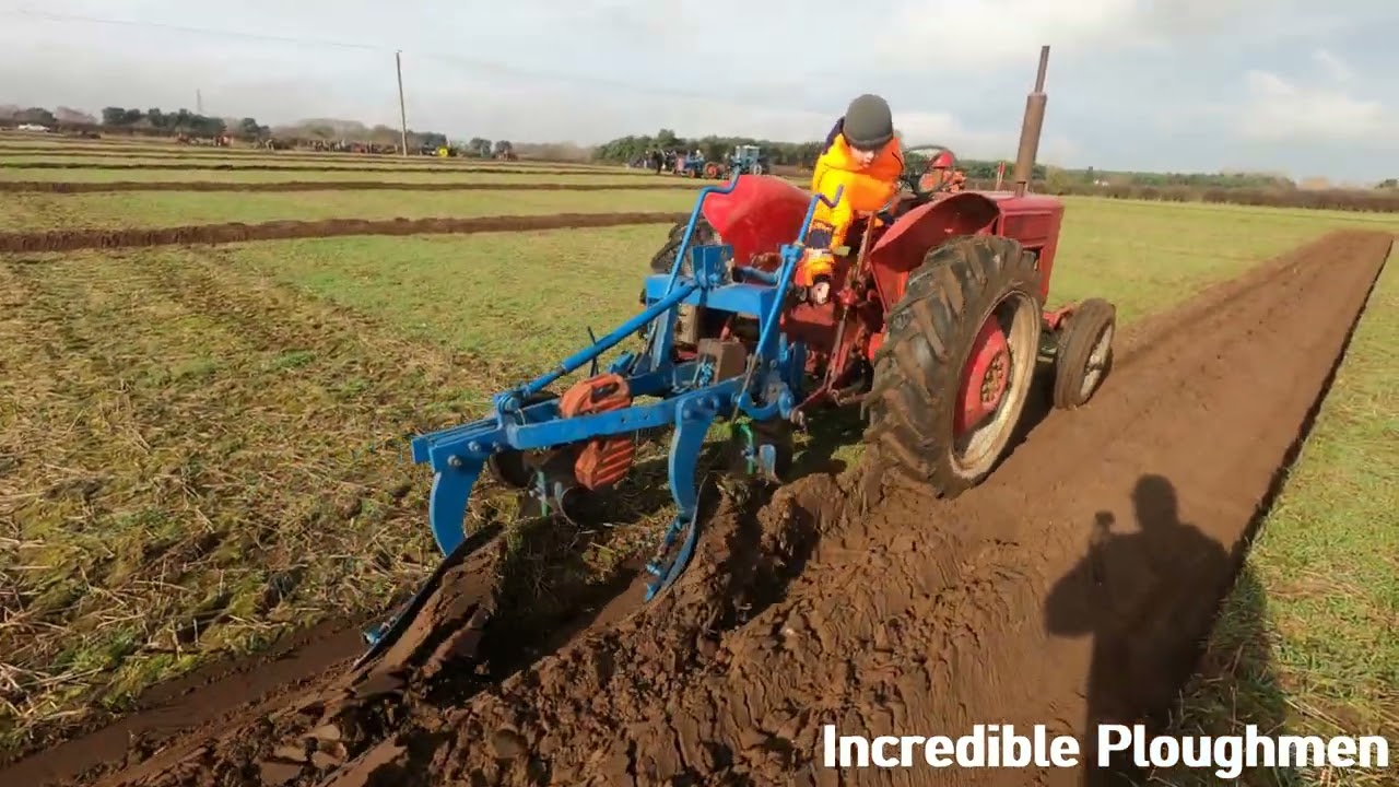1959 International Harvester B275 2.3 Litre 4-Cyl Diesel Tractor (38 HP) with Ransomes Plough