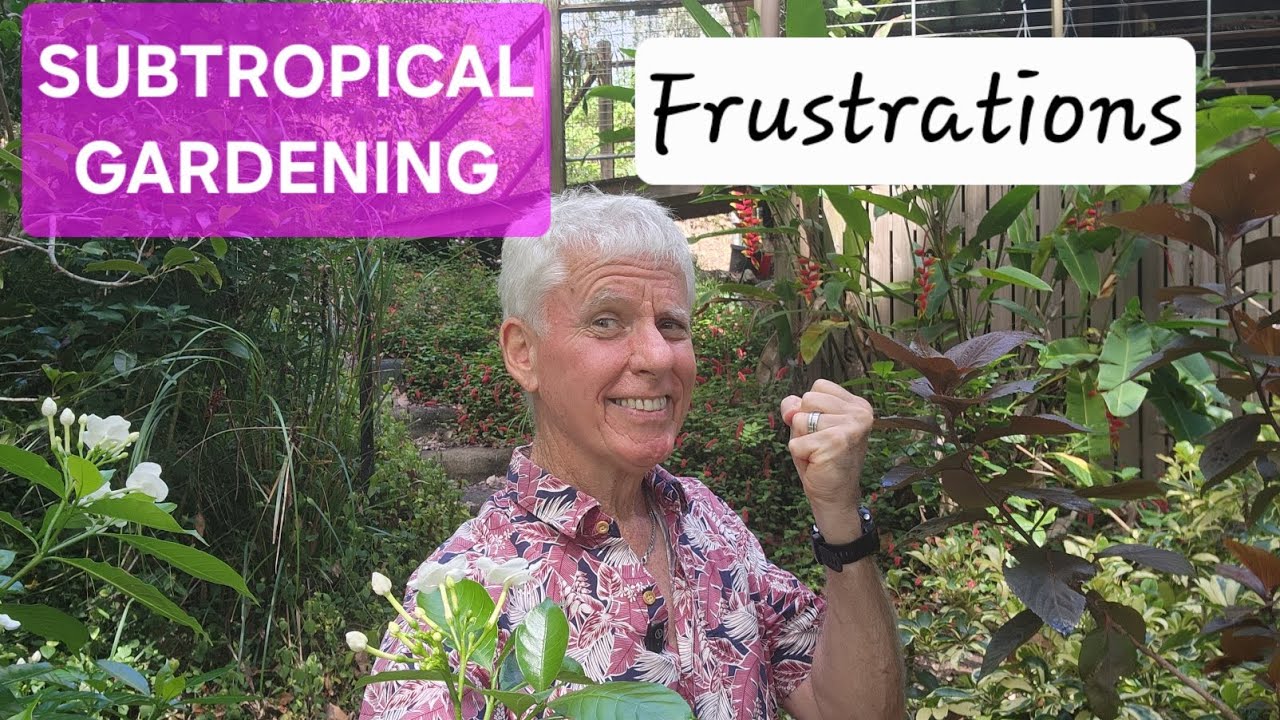 Not everything is Rosy in a Subtropical Garden