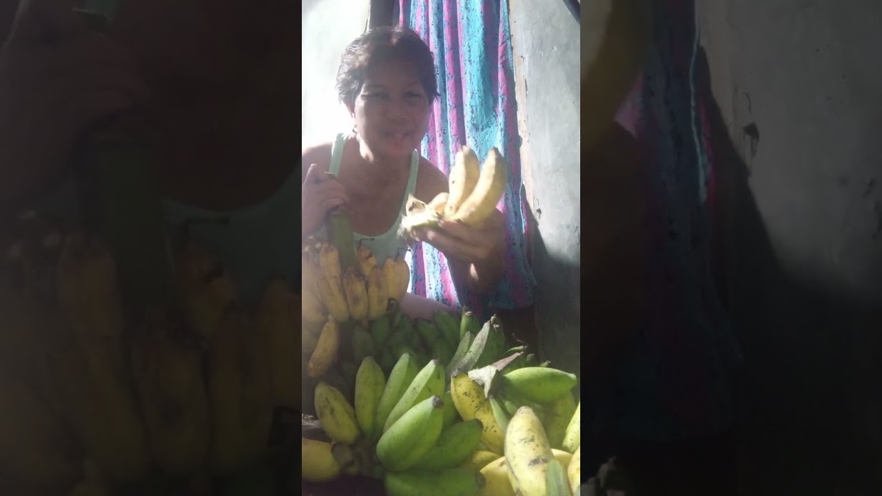 Sapadun ko kading Batag Ali sa mini taniman ng aking Asawa  #banana #harvest #fruit